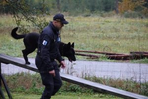 Psovod mjr. Carbol s fenou Qantarou poprvé na mistrovství, vítězství jim uniklo jen o pár bodů