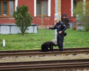 Psovod mjr. Carbol s fenou Qantarou poprvé na mistrovství, vítězství jim uniklo jen o pár bodů