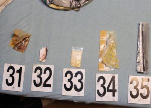 Realizace krajského TOXI týmu v Ústeckém kraji a v Praze