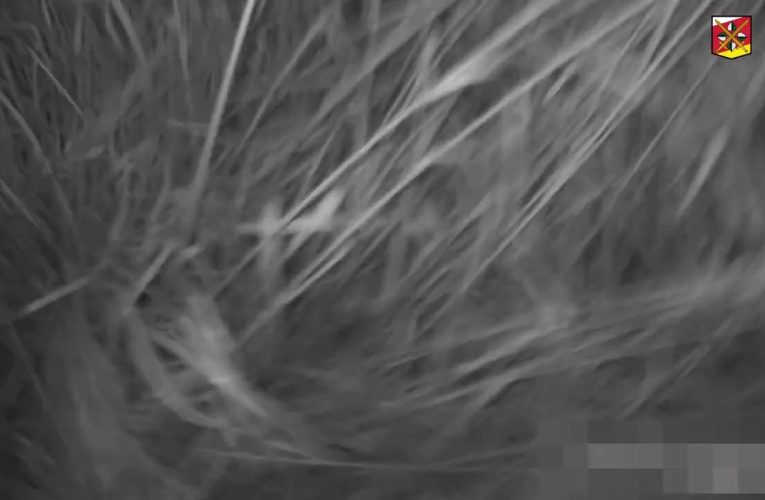 Řídící jednotku a pneumatiky neodnesl – zadržen přímo při činu