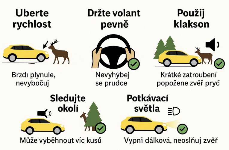 Řidiči pozor, zamilovaný srnec neřeší pravidla silničního provozu!