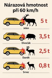 Řidiči pozor, zamilovaný srnec neřeší pravidla silničního provozu!