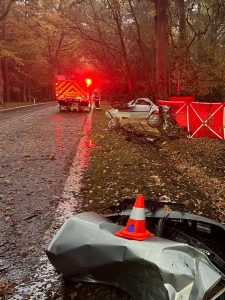 Smrtelná dopravní nehoda