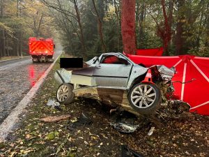 Smrtelná dopravní nehoda