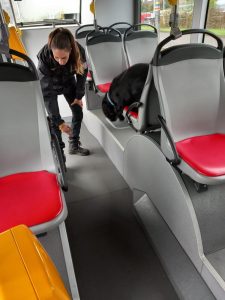 Společný výcvik českých a německých policejních psovodů na Děčínsku