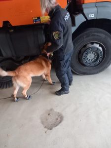 Společný výcvik českých a německých policejních psovodů na Děčínsku