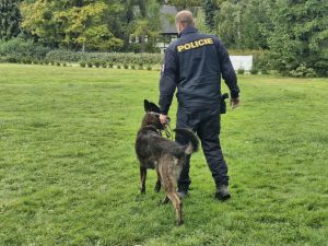 Společný výcvik českých a německých policejních psovodů na Děčínsku