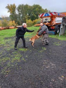 Společný výcvik českých a německých policejních psovodů na Děčínsku