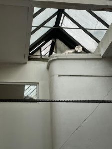 Vloupání do kanceláře