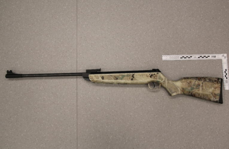 Vzal zákon do vlastních rukou