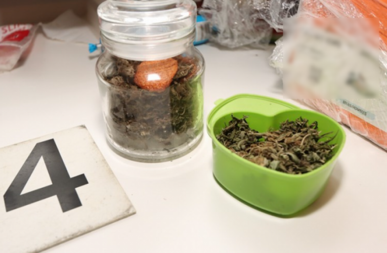 Rekordní rok 2025 pro litoměřické pátrače