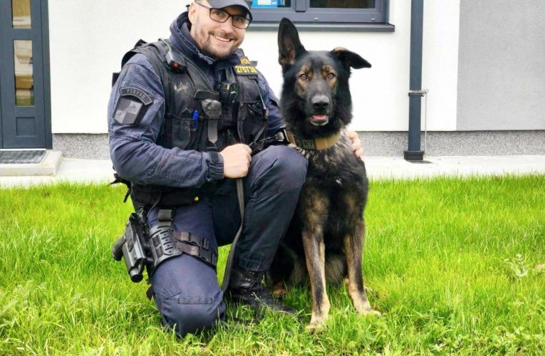 Český policejní pes Loky vypátral ztracenou turistku ze Saska