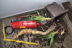 Kudy chodil, tudy ničil