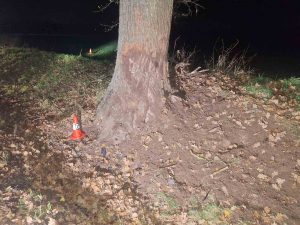 Náraz do stromu nepřežil