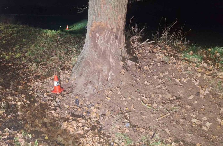 Náraz do stromu nepřežil