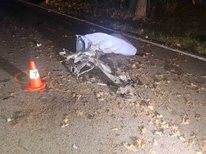 Náraz do stromu nepřežil