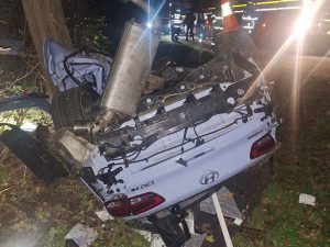 Náraz do stromu nepřežil