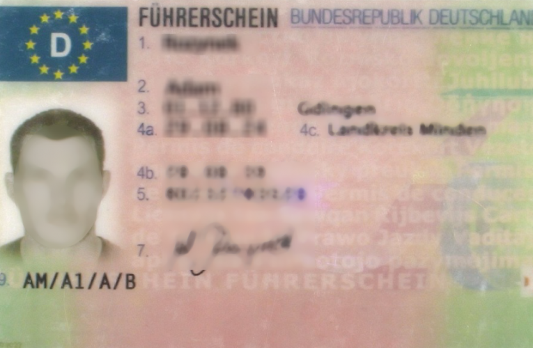 Oba řidičské průkazy jsou padělky