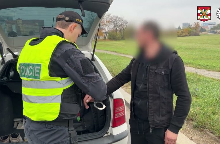 Odhaleny byly i padělky dokladů