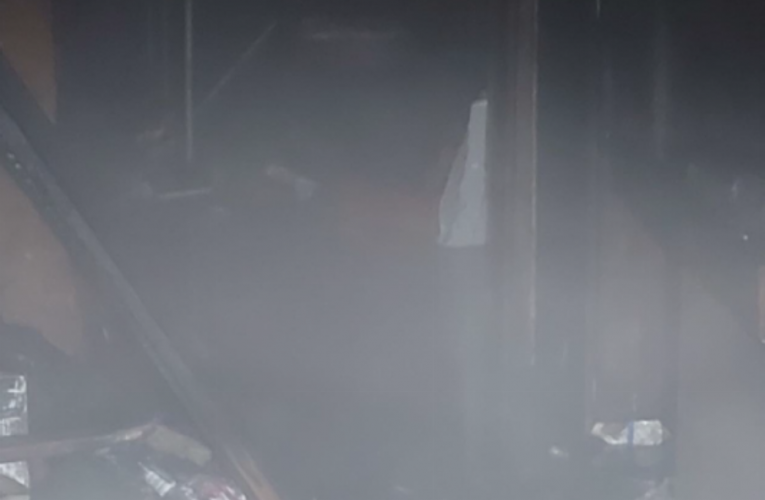 Policisté v Plzni pomohli zachránit ženu a psa z hořícího domu