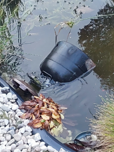 Policisté v Plzni pomohli zachránit ženu a psa z hořícího domu