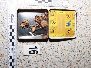 Výrobci drog zadrženi