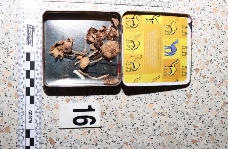 Výrobci drog zadrženi