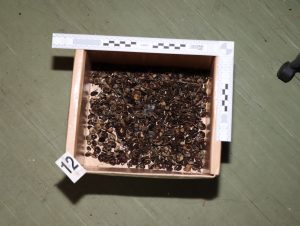 Výrobci drog zadrženi