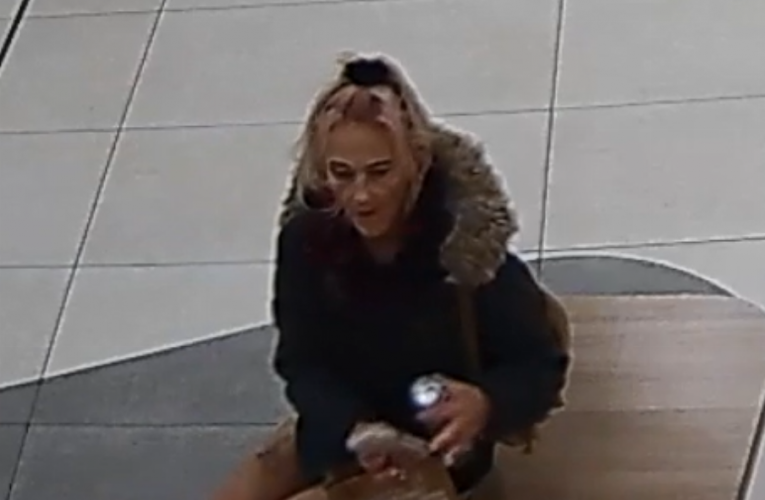 Zapomenutá kabelka LIU JO