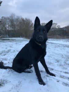 Havárie vozidla bez řidiče?