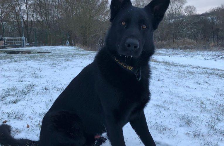 Havárie vozidla bez řidiče?