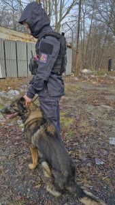 Moravskoslezští „cizináři“ řešili při akci i cizince bez oprávnění pobytu v ČR