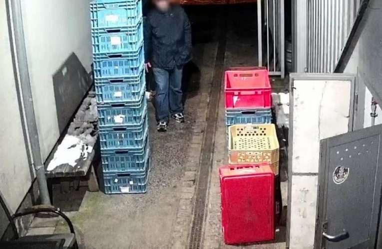 Opakovaně trestaný zadržen pár hodin po krádeži
