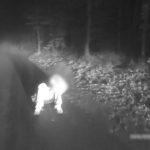 Pátrání v noci skončilo šťastně