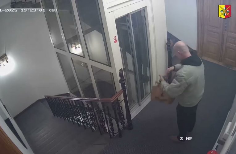 Podezřelý z krádeže