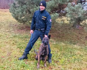 Policejní pes Ludvík vypátral ztraceného chlapce