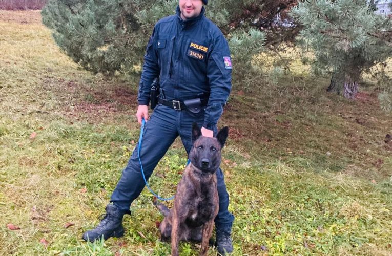 Policejní pes Ludvík vypátral ztraceného chlapce