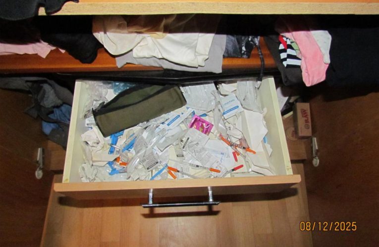 Právě vezli léky k výrobě pervitinu