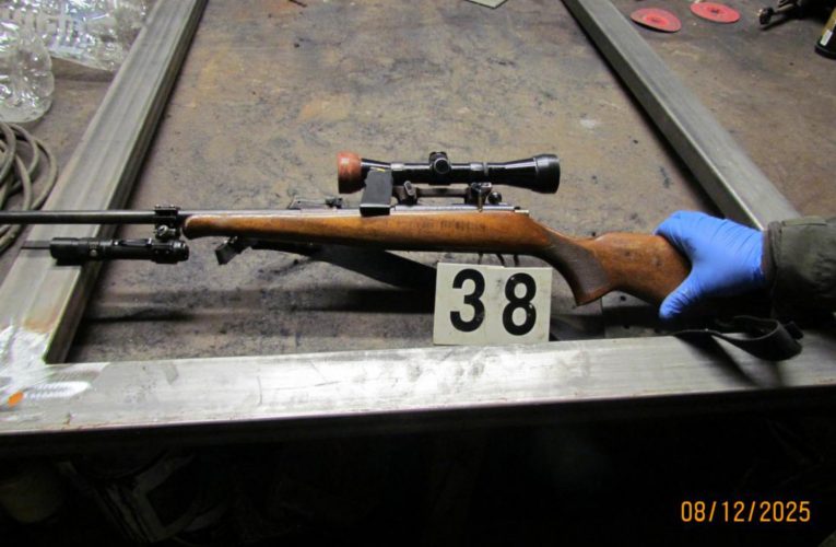 Agendy „zbraně a cizina“ – aktuální úprava úřední doby v Moravskoslezském kraji