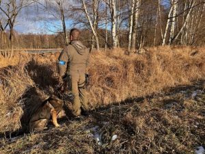 První jihočeská vražda